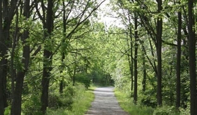 Twelve Mile Creek Trail Half Marathon Lovestc Tourism St Catharines