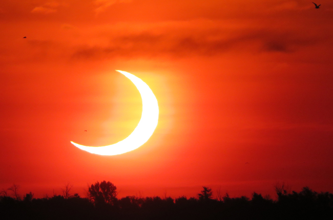 Experience the 2024 total solar eclipse in St. Catharines.
