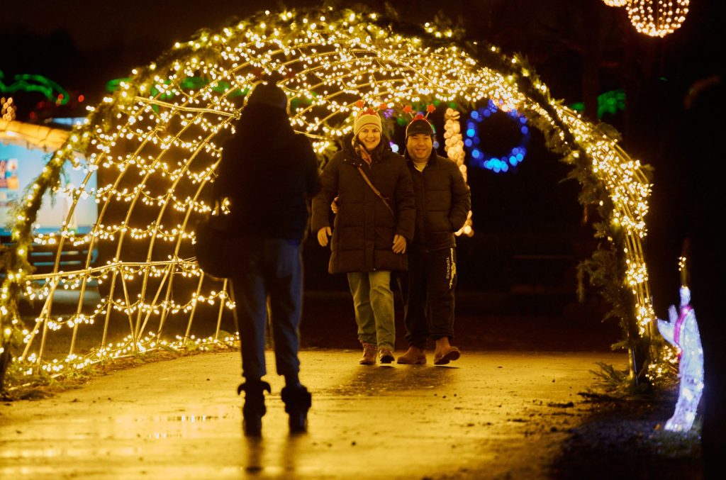 Let It Glow - A Celebration of Light at Rennie Park in Port Dalhousie.