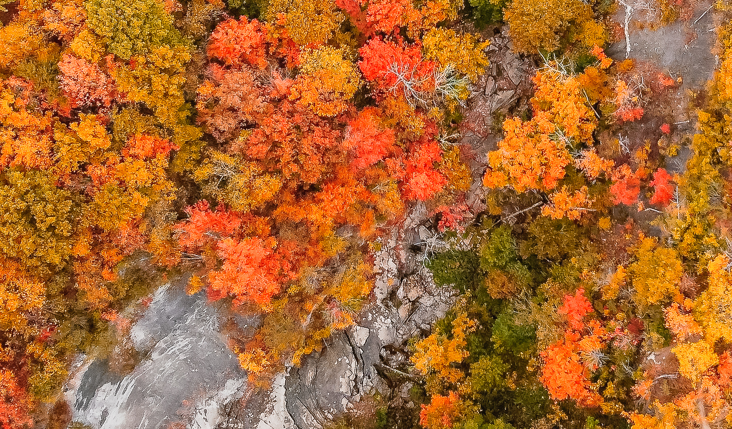 Five-5 Things to do in STC-Fall Colours