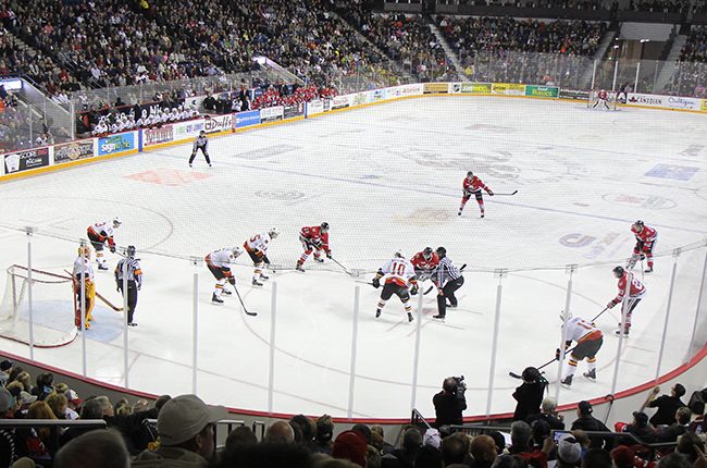 The Niagara IceDogs playing at the Meridian Centre