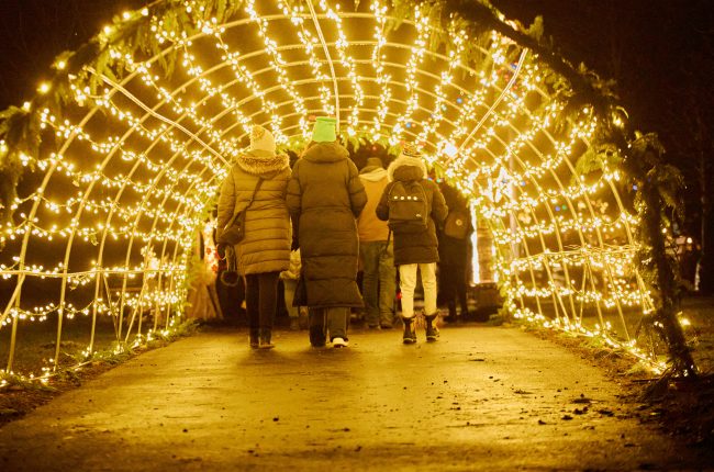 Let It Glow-A Celebration of Light light tunnel at Rennie Park