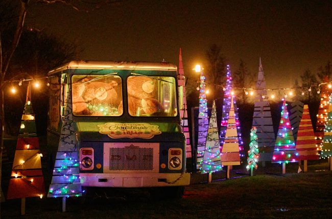 The tree farm light display at Let it Glow - A Celebration of Light festival in St. Catharines.