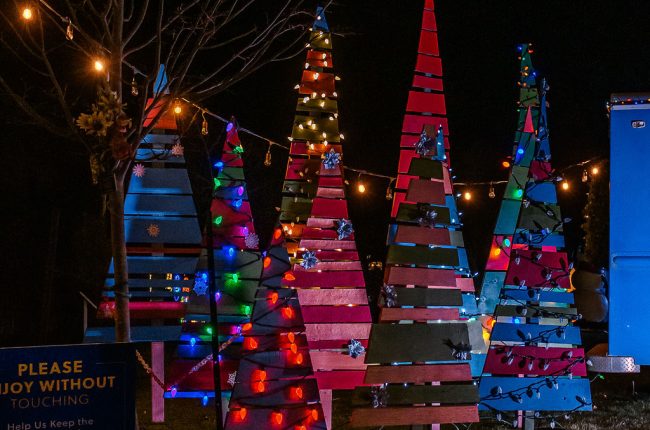 Let It Glow – A Celebration of Light