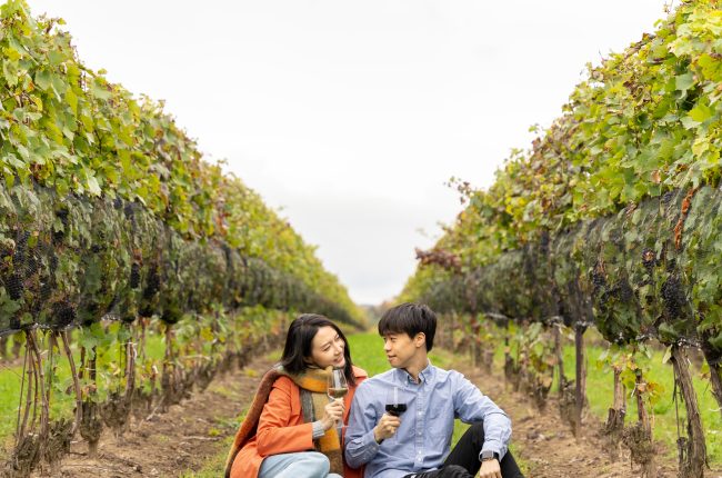 Fall in STC - Couple in Vineyard